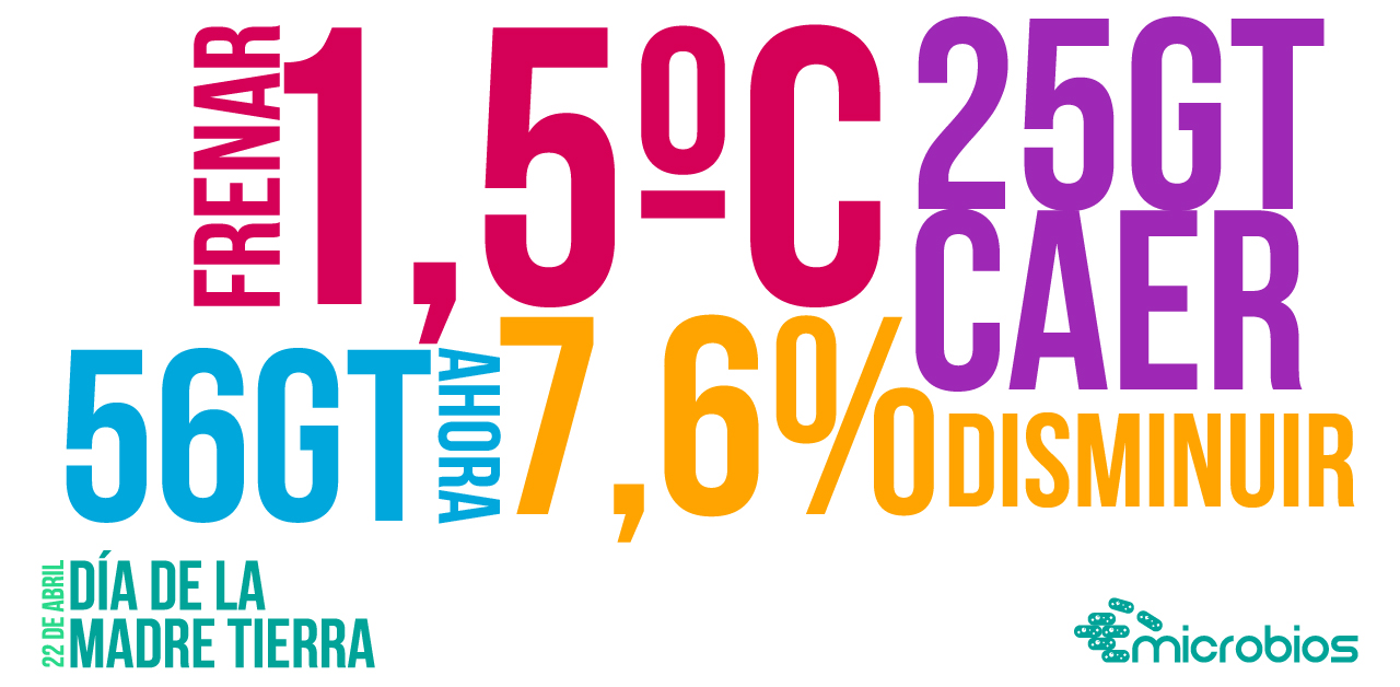 arte_dia_madre_tierra-02