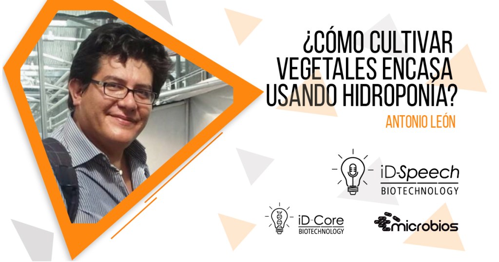 iD-Speech: ¿Cómo cultivar vegetales en casa usando&nbsp;hidroponía?