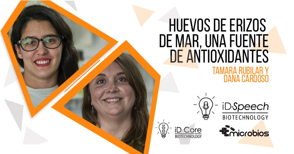 iD-Speech: “Huevos de erizos de mar, una fuente de&nbsp;antioxidantes”