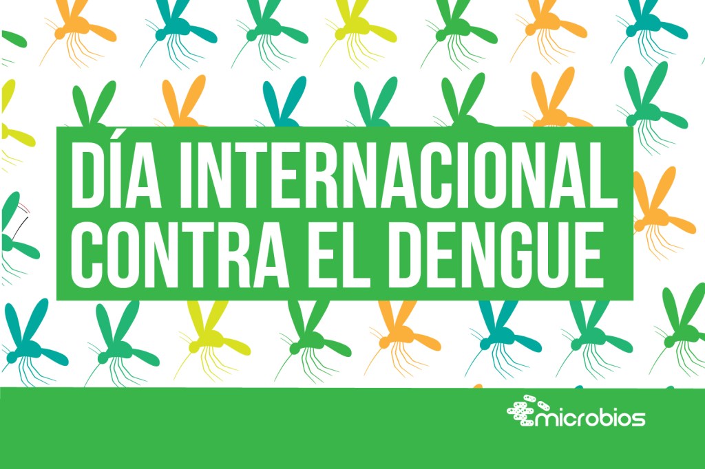 Día Internacional Contra en el&nbsp;Dengue