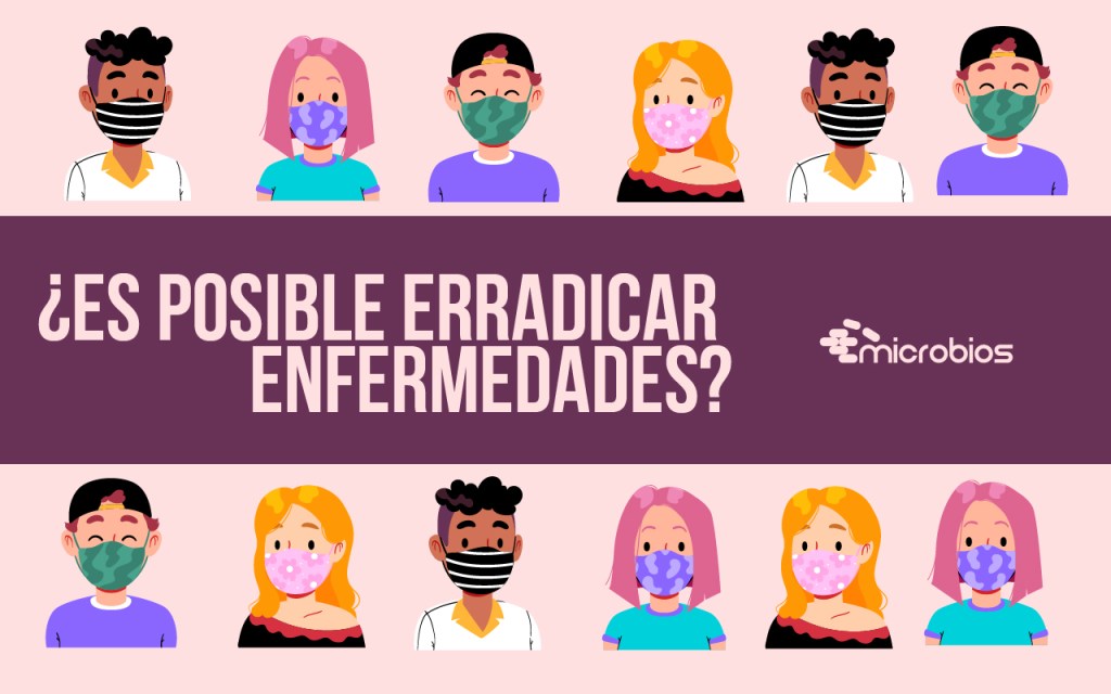 ¿Es posible erradicar&nbsp;enfermedades?