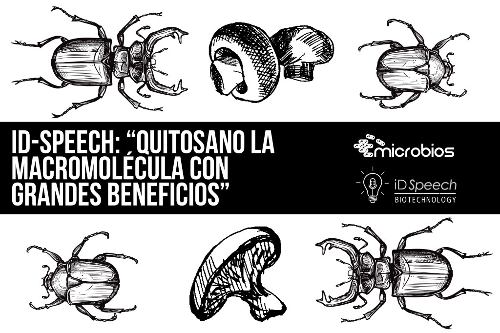 iD-Speech: “Quitosano la macromolécula con grandes&nbsp;beneficios”