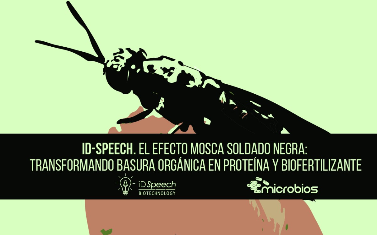 iD-Speech: “El efecto mosca soldado negra: transformando basura orgánica en proteína y biofertilizante”