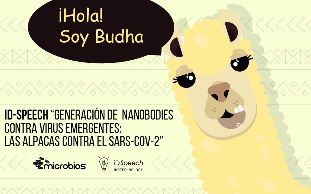 iD-Speech. “Generación de nanobodies contra virus emergentes: las alpacas contra el&nbsp;SARS-CoV-2”