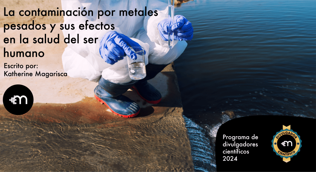 La contaminación por metales pesados y sus efectos en la salud del ser humano 