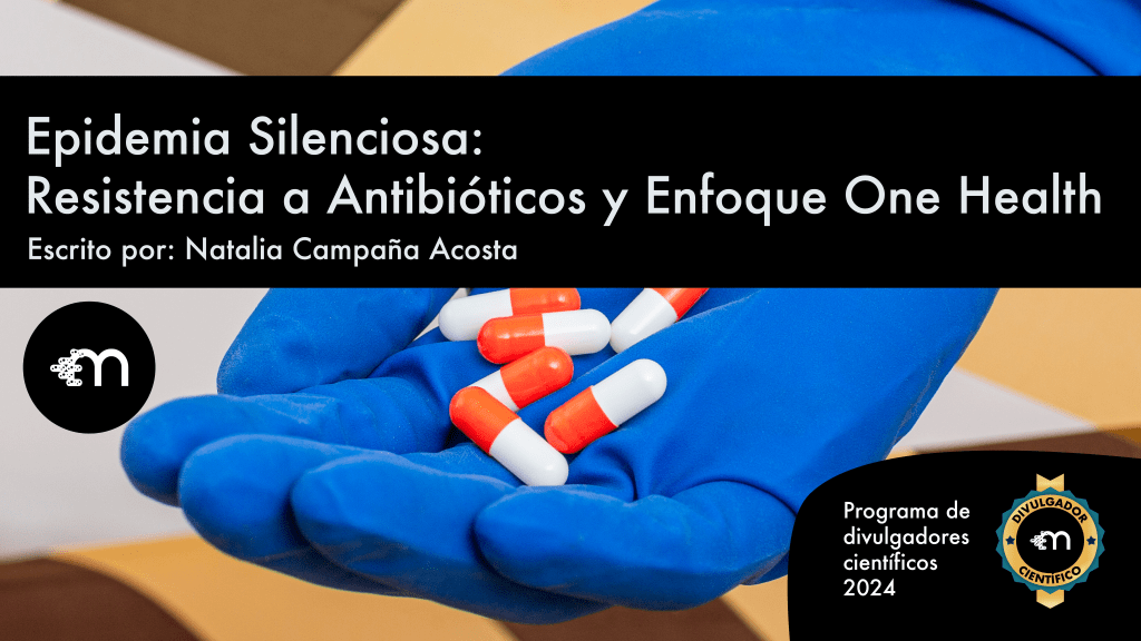 Epidemia Silenciosa: Resistencia a Antibióticos y Enfoque One&nbsp;Health